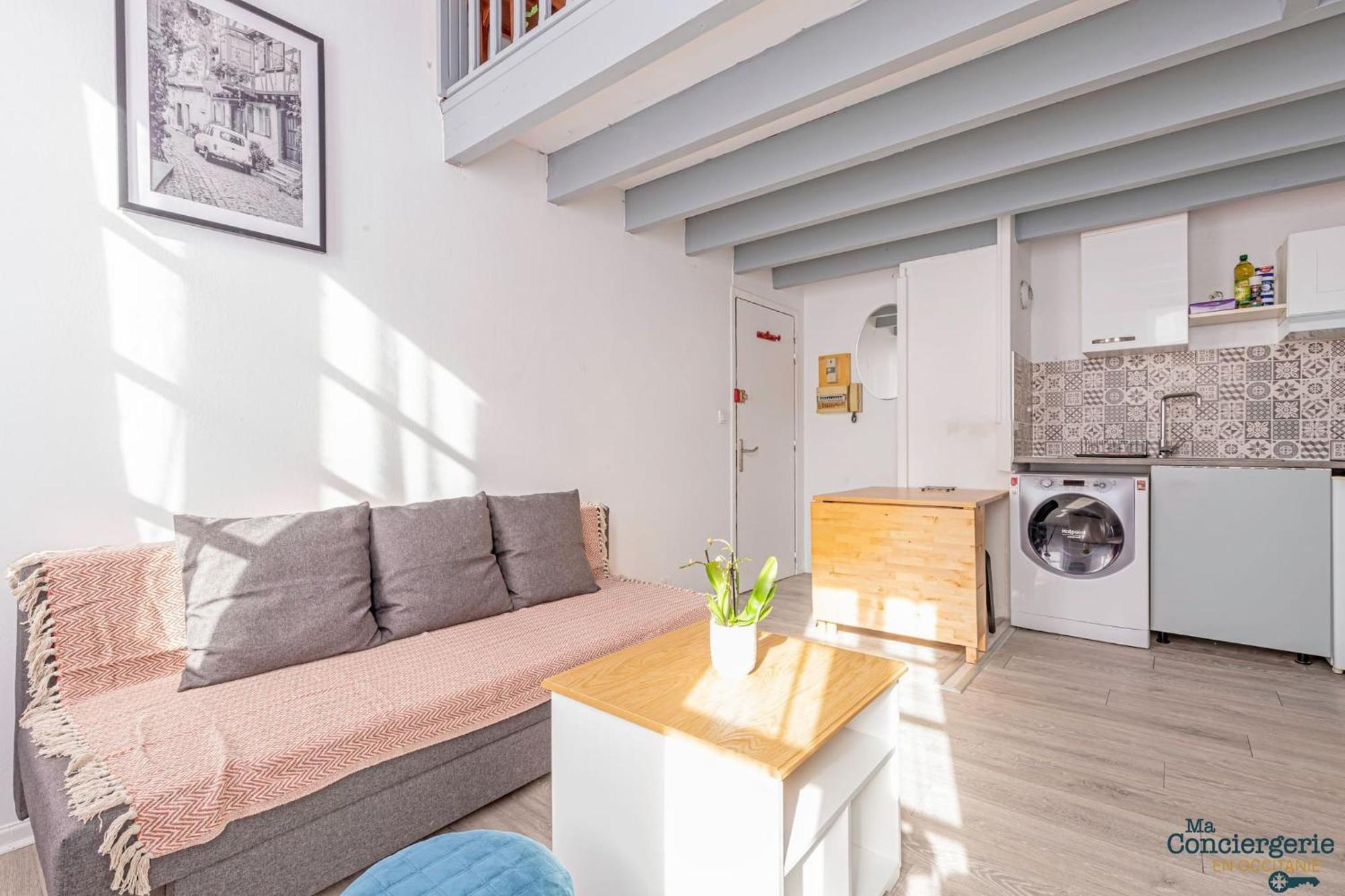 Duplex Champetre : Gare, Marche, Hypercentre Daire Toulouse Dış mekan fotoğraf