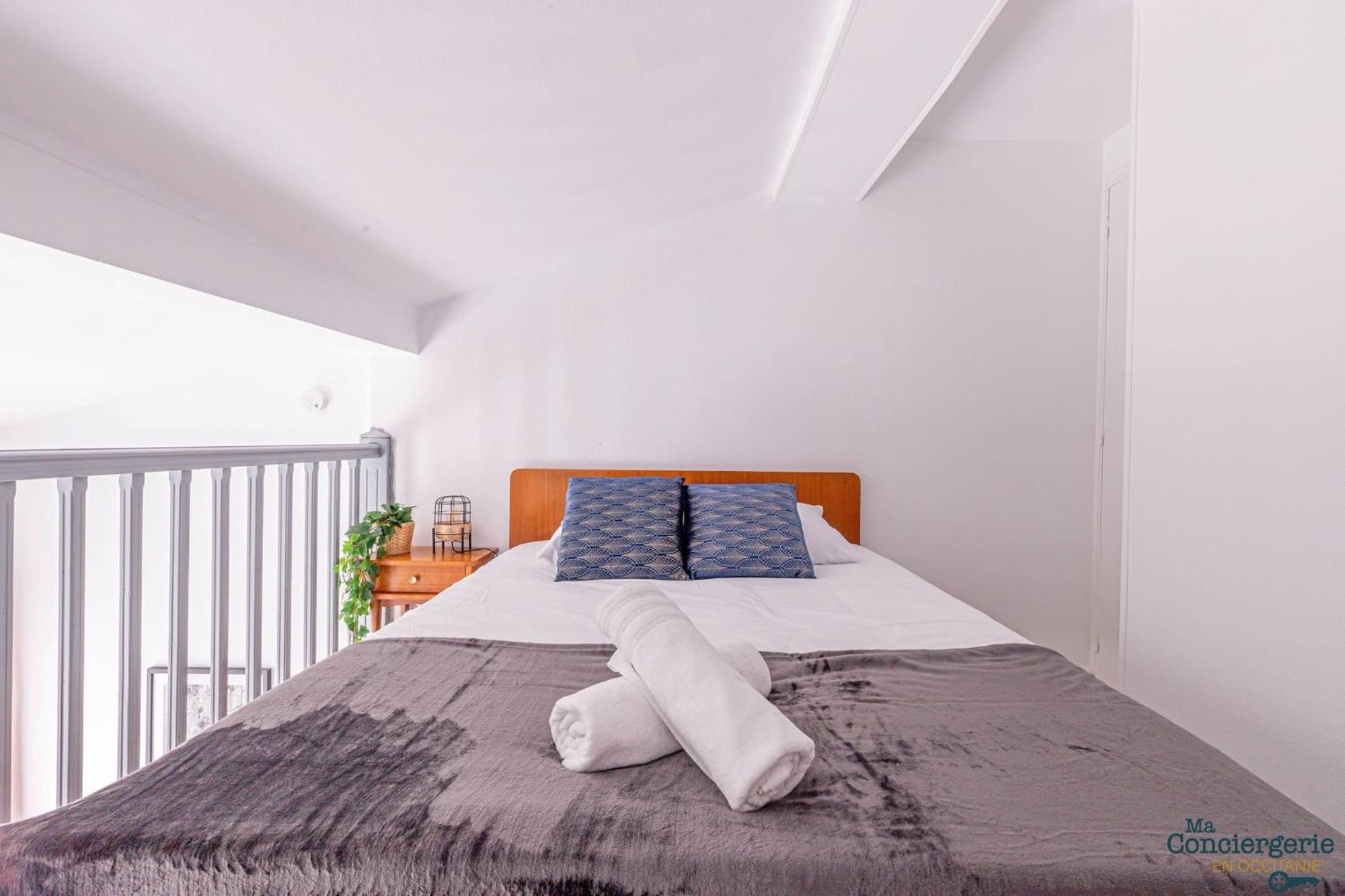 Duplex Champetre : Gare, Marche, Hypercentre Daire Toulouse Dış mekan fotoğraf